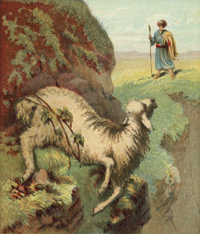 Trouver le mouton - English School