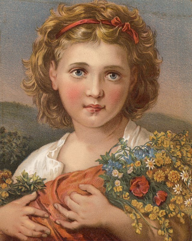 Fleurs des champs - English School