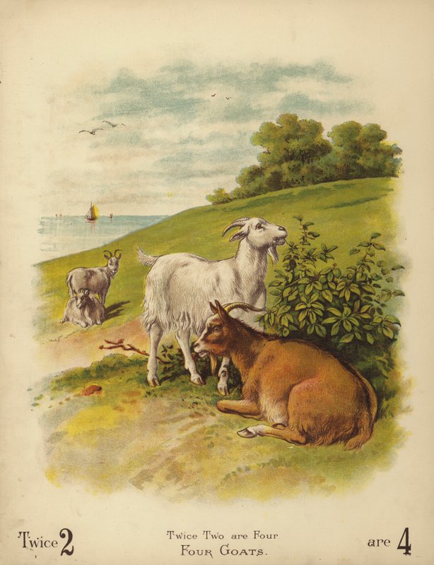 Quatre chèvres - English School
