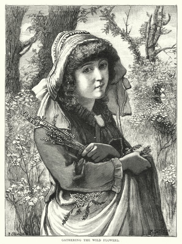 Cueillir les fleurs sauvages (gravure) - English School