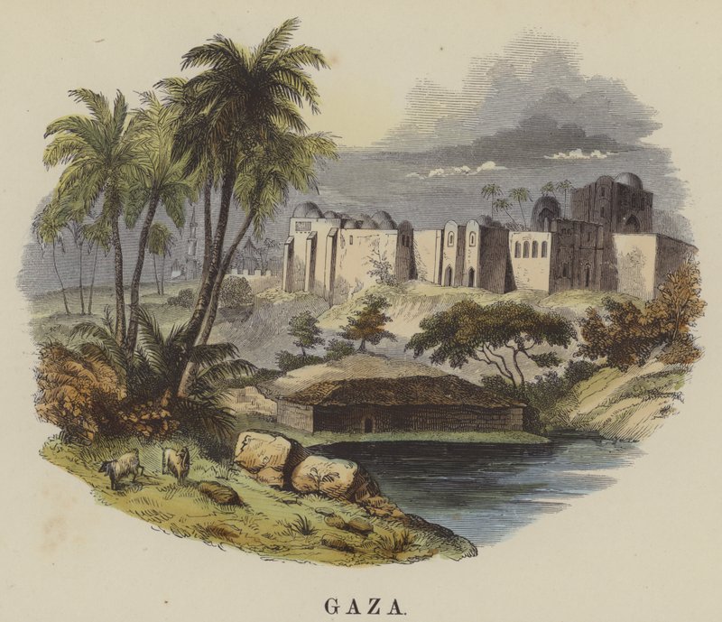 Gaza - English School