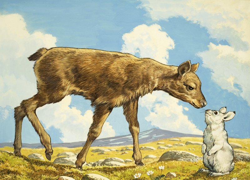 Gazelle et lapin - English School