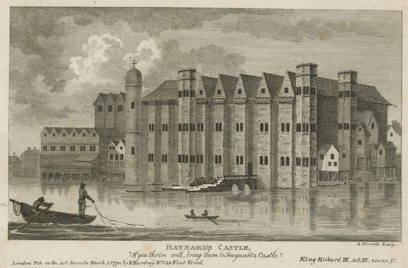 Vue générale du château de Baynards - English School