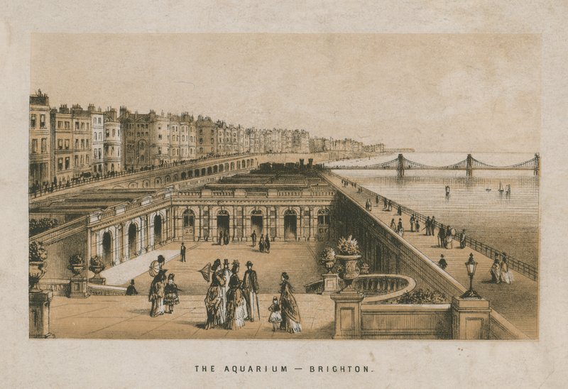 Vue générale de l