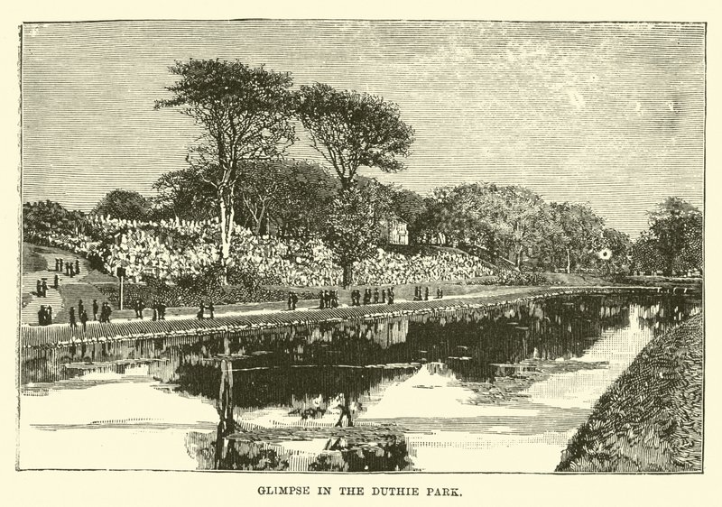 Aperçu dans le parc Duthie - English School