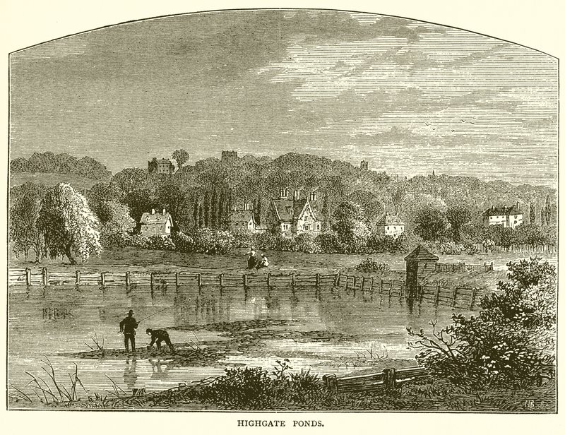 Étangs de Highgate - English School