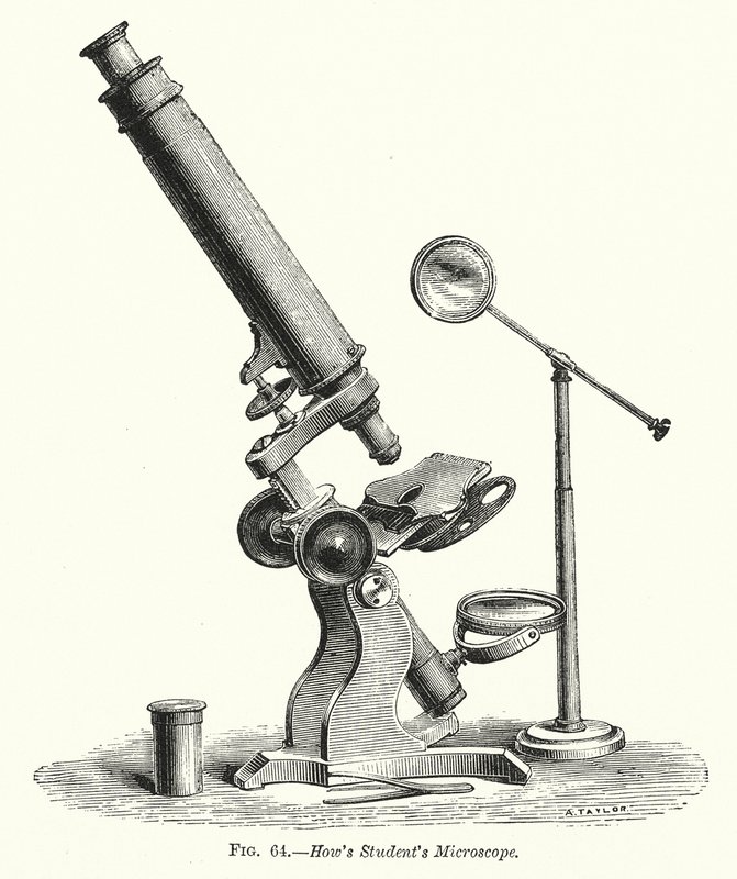 Microscope d