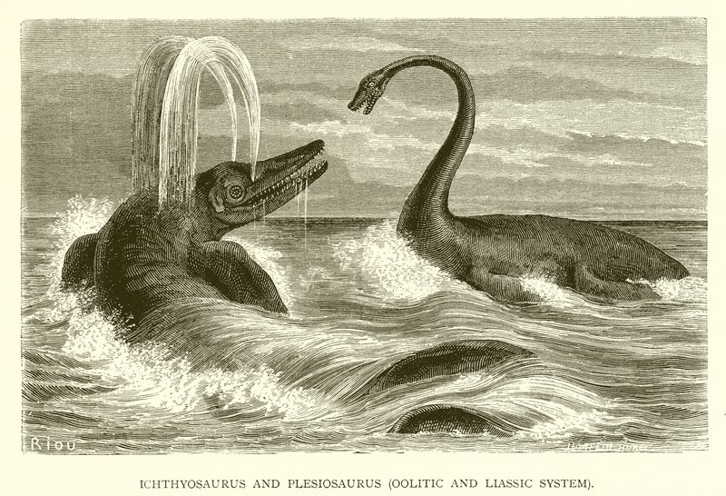 Ichthyosaure et Plésiosaure, Système Oolitique et Liasique - English School