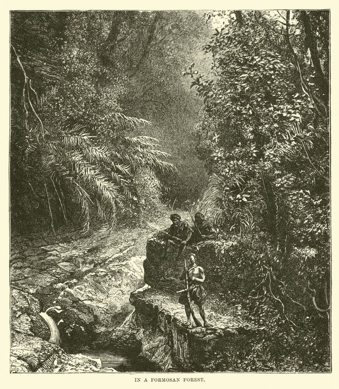 Dans une forêt de Formose - English School