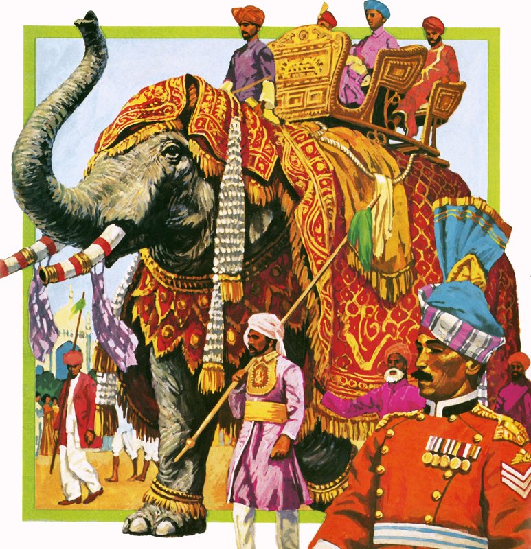 Éléphant indien - English School