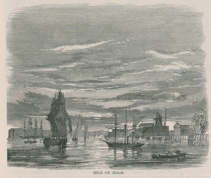 Île des Chiens - English School