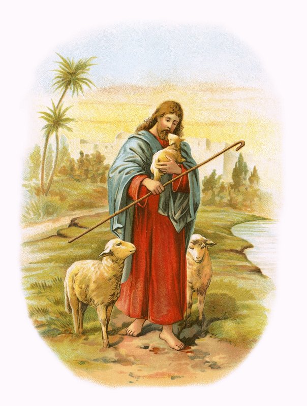 Jésus, le bon berger - English School