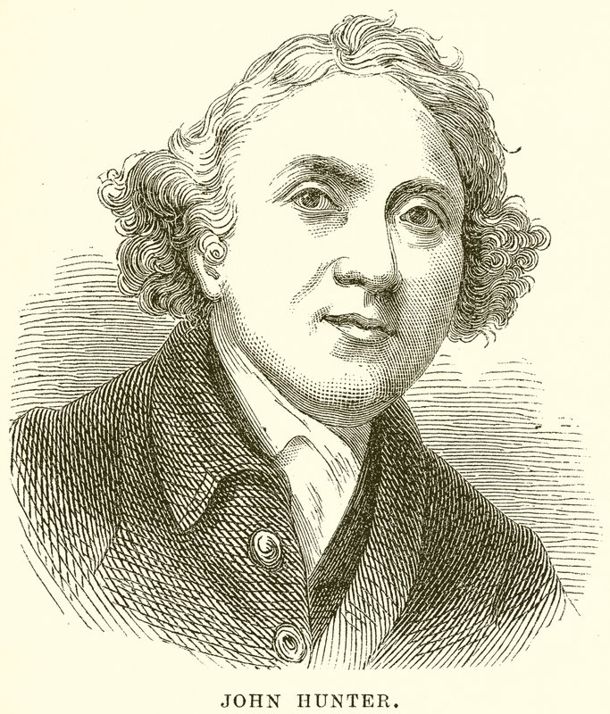 John Hunter - English School