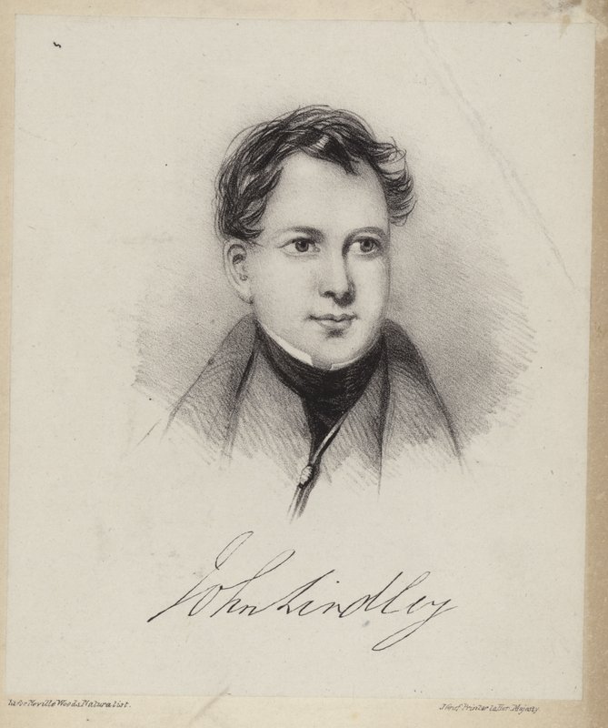 John Lindley - English School