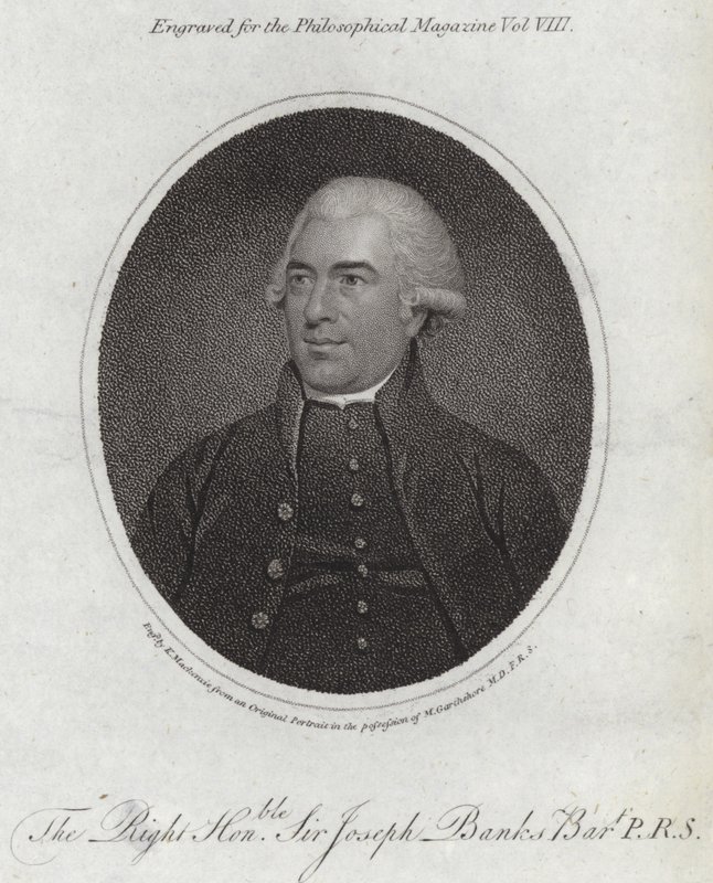 Joseph Banks - English School