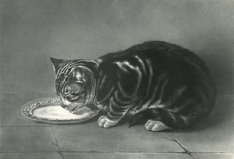 Le Gourmand - English School