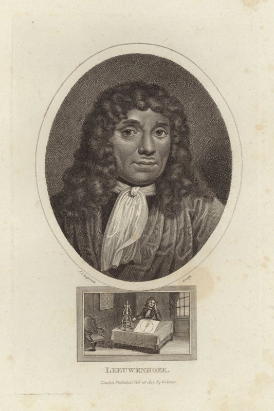 Leeuwenhoek - English School