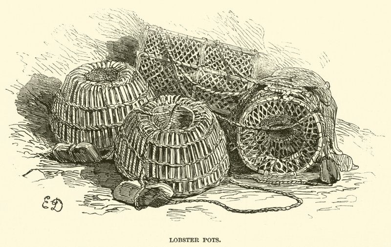 Paniers à homards - English School