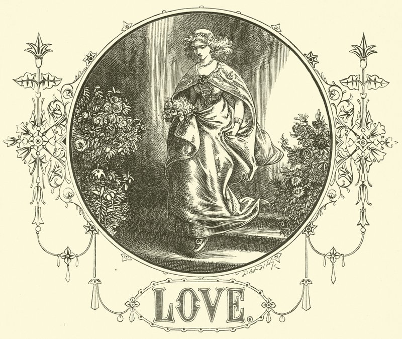 Amour - English School