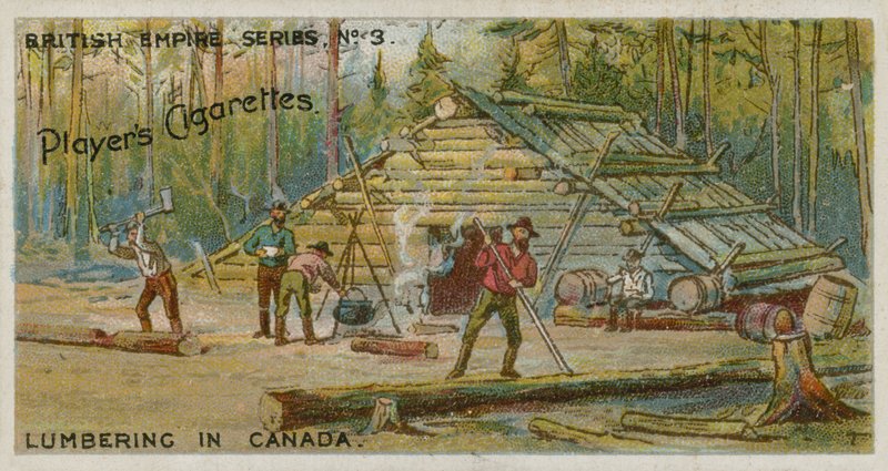 Exploitation forestière au Canada - English School