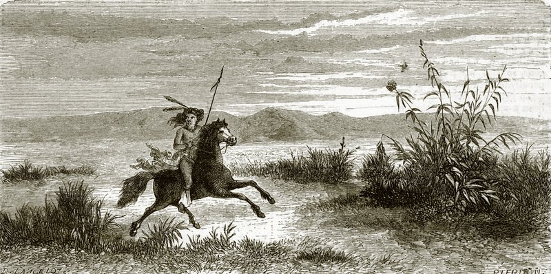 Cavalier Mohave - English School