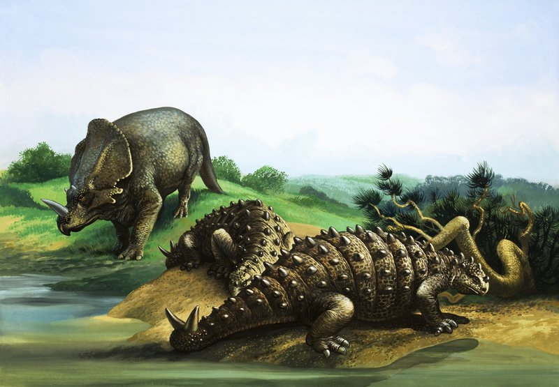Monoclonius et Scolosaurus - English School