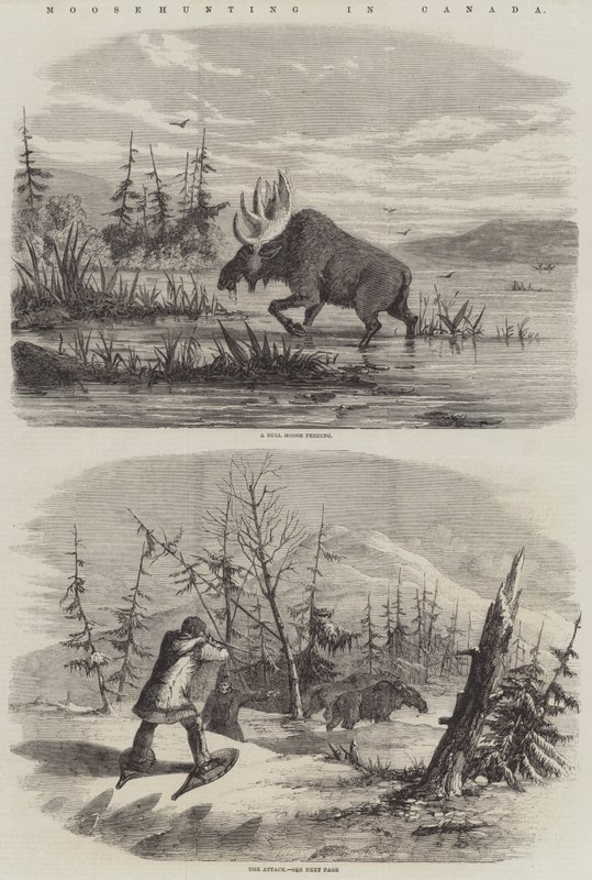Chasse à l