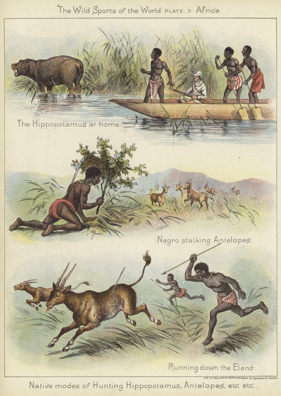Modes de chasse indigènes - English School