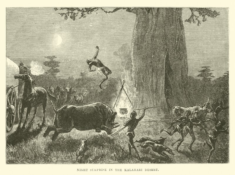 Surprise nocturne dans le désert du Kalahari - English School