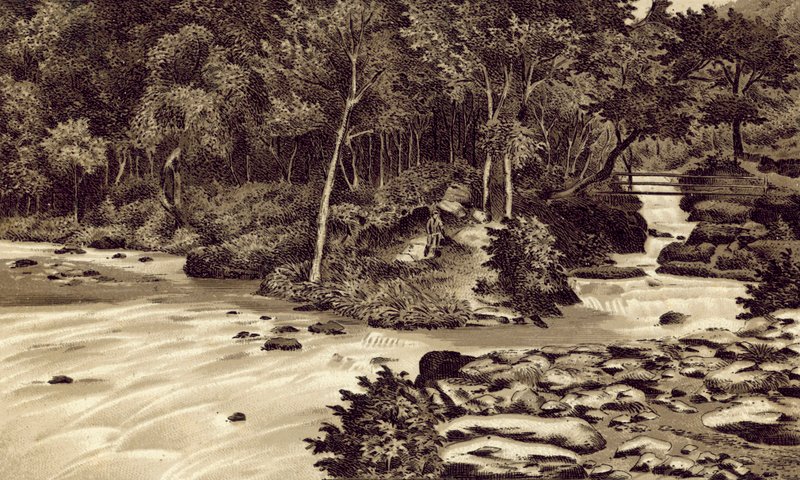 North Devon: "The Watersmeet", Lynmouth - English School