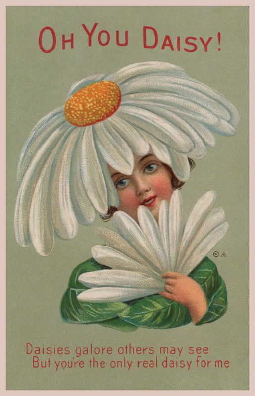 Oh toi marguerite! - English School