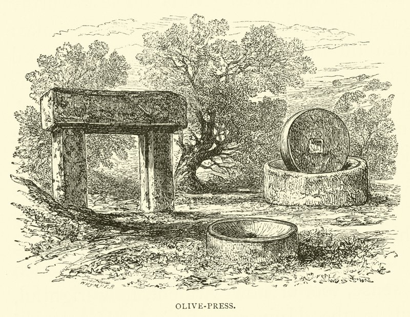 Presse à olives - English School