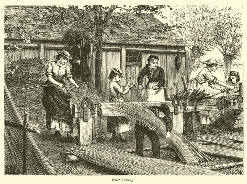 Épluchage d