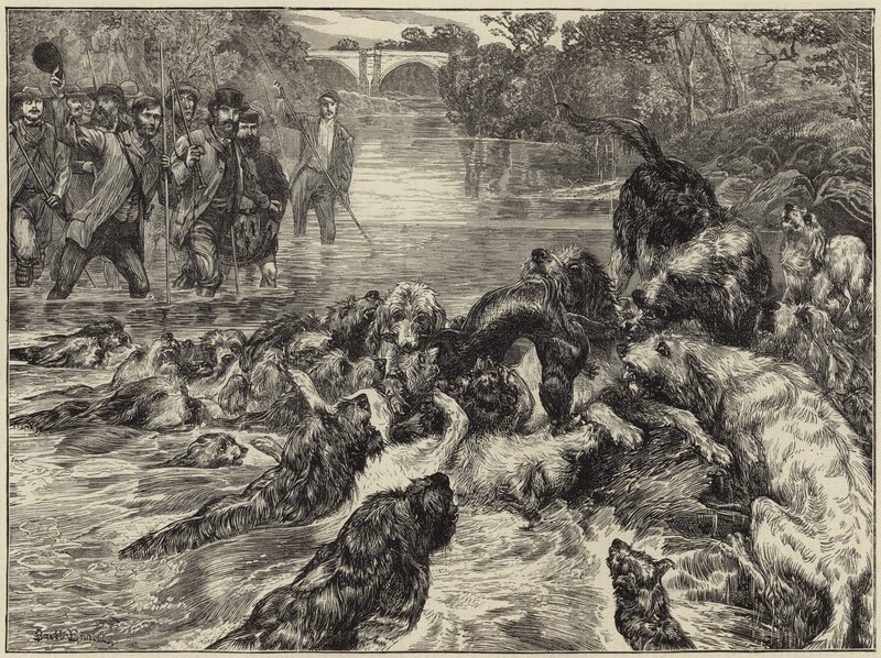 Chasse à la loutre dans le nord - English School