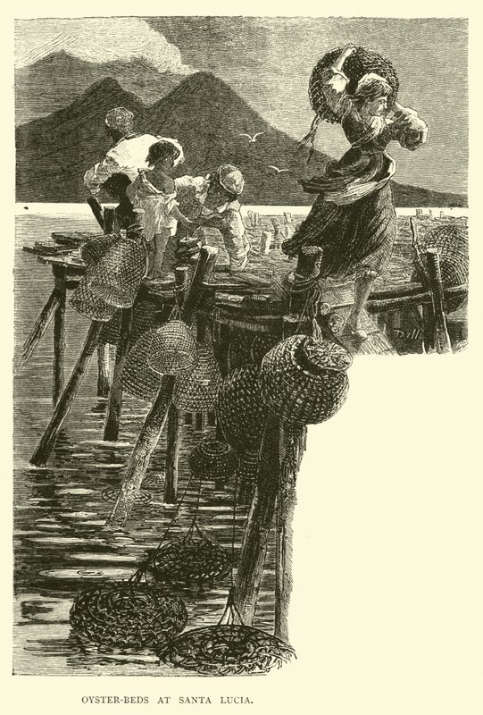 Parcs à huîtres à Santa Lucia - English School