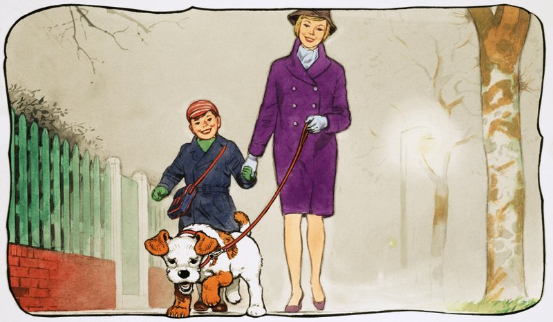 Paddy Paws - English School
