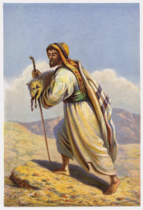 Paraboles de Jésus-Christ : Brebis égarée - English School