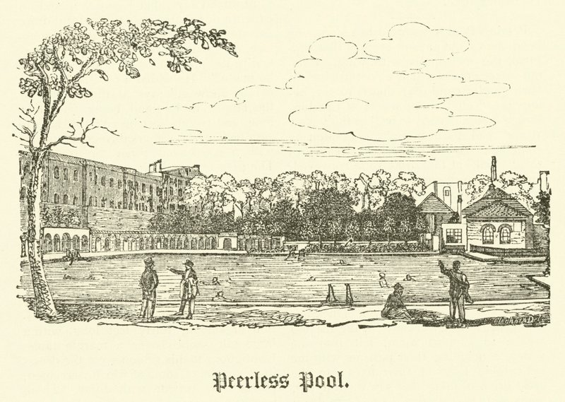 Piscine Peerless - English School