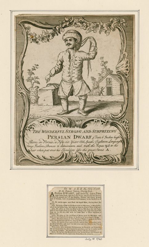 Nain persan - English School