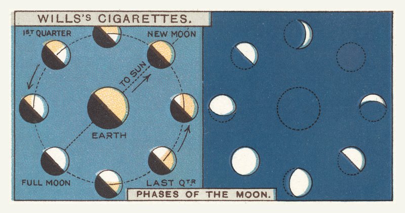Phases de la lune - English School