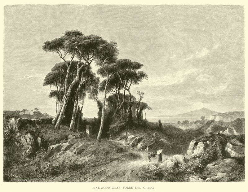 Pinède près de Torre del Greco - English School