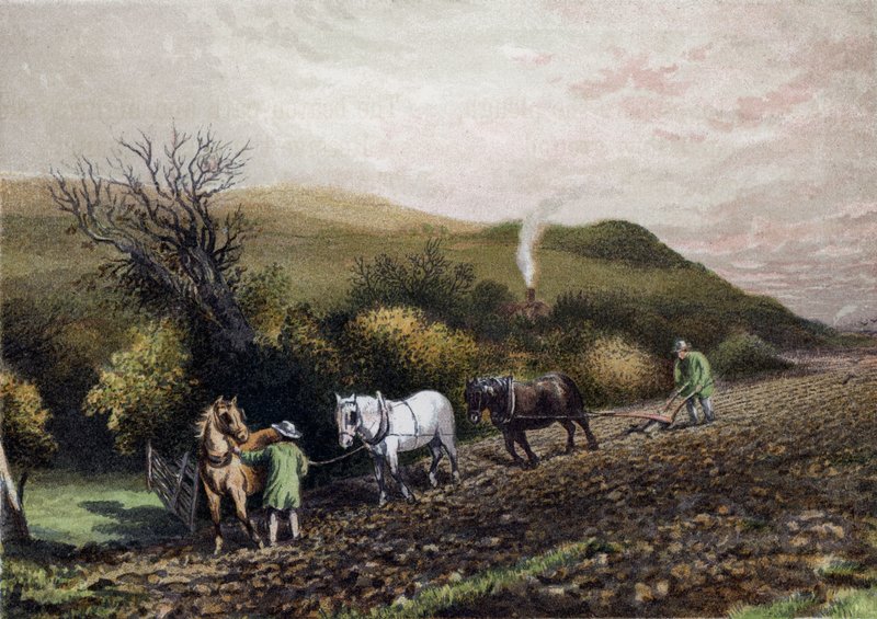 Labourage - English School