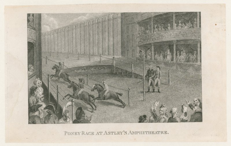 Course de poneys à l