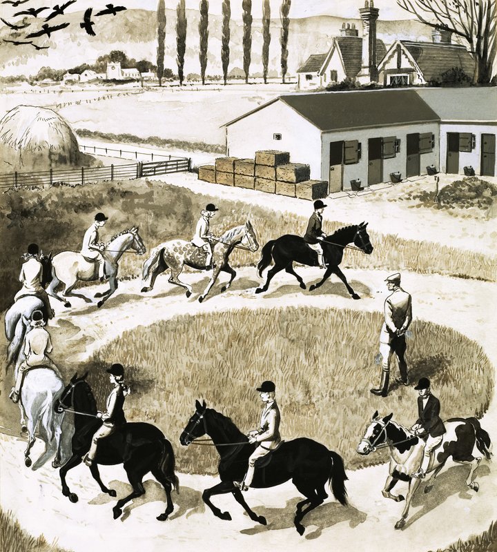 Poneys en exercice - English School