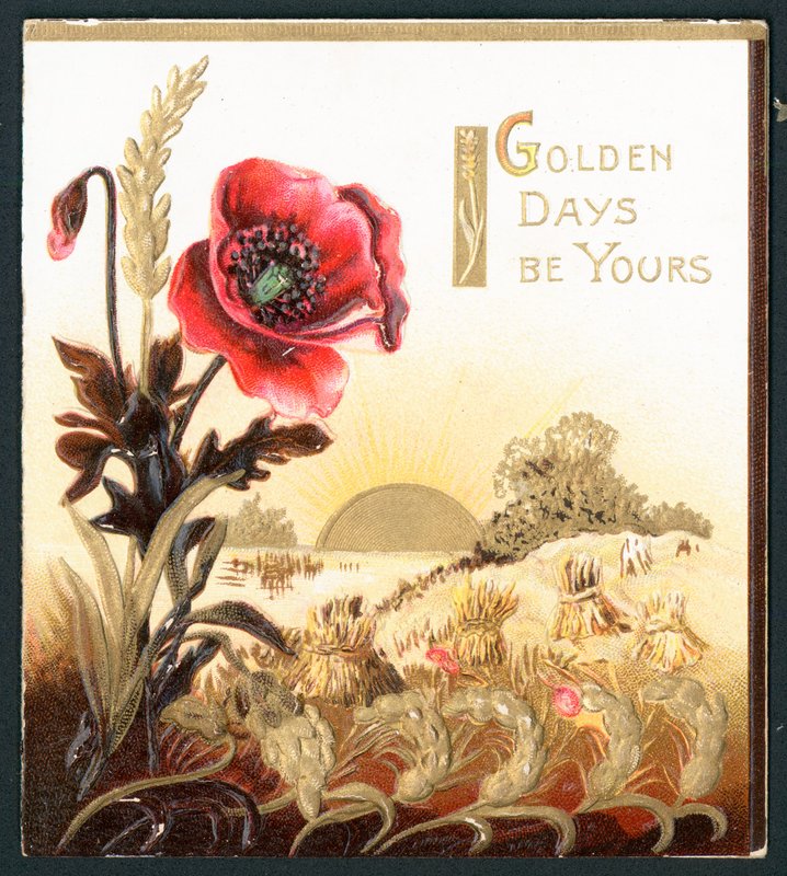 Coquelicot dans un champ à la moisson, carte - English School