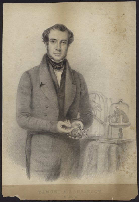 Portrait de Samuel Armstrong Lane - English School