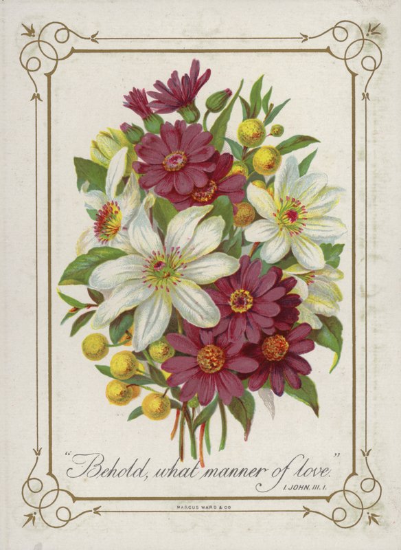 Bouquet de fleurs - English School