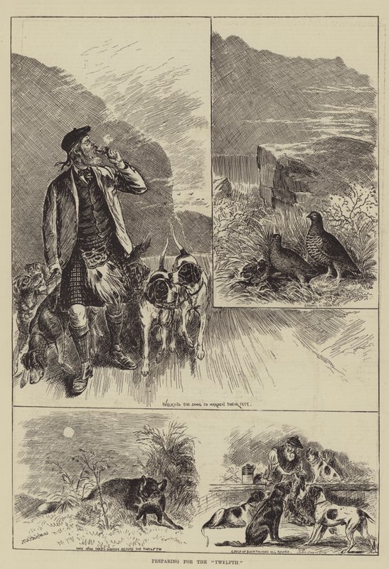 Préparation pour le "Douzième" - English School