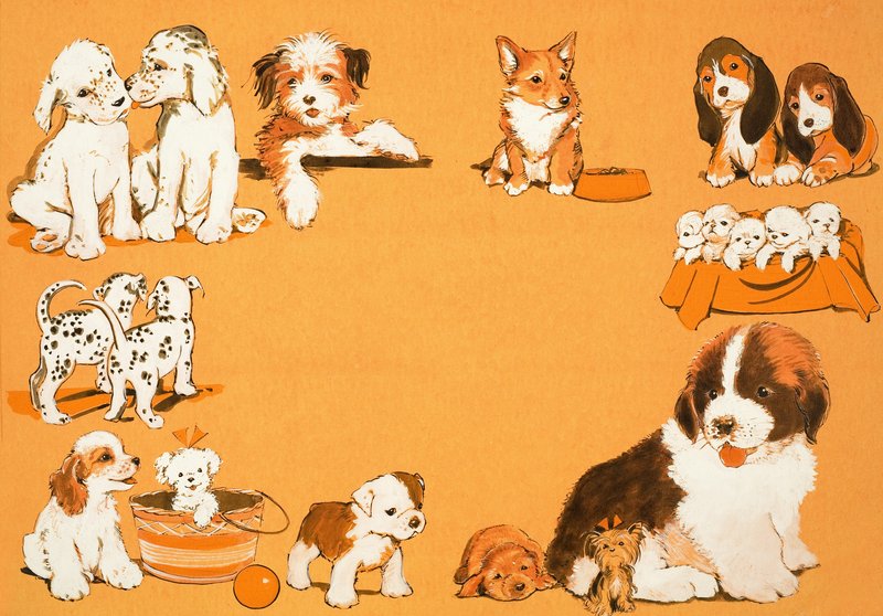 Chiots - English School