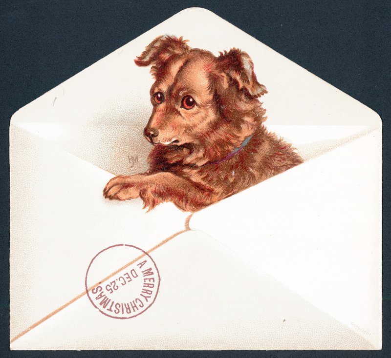 Chiot dans une enveloppe, Carte de Noël - English School